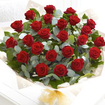 24 Fresh Red Roses Bouquet - Long Lasting Luxury Flowers for Valentine's Day, Anniversary & Romantic Gifts - Perfect for Weddings, Proposals & Home Decor
