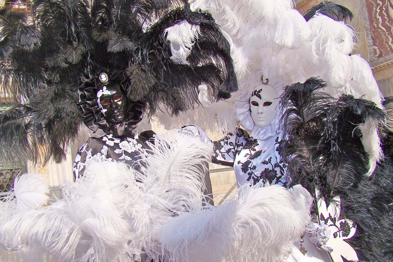 1/2 lb Bulk Black Ostrich Feathers (14-17