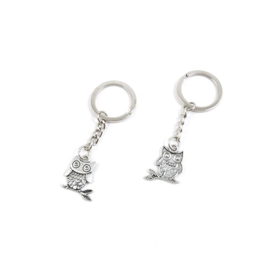 Antique Silver Tone Owl Keychain - Bulk Wholesale Key Ring Tags for Car Keys, House Keys & Keyrings (Cute Owl Design) - Perfect for Gifts, Party Favors & Everyday Use
