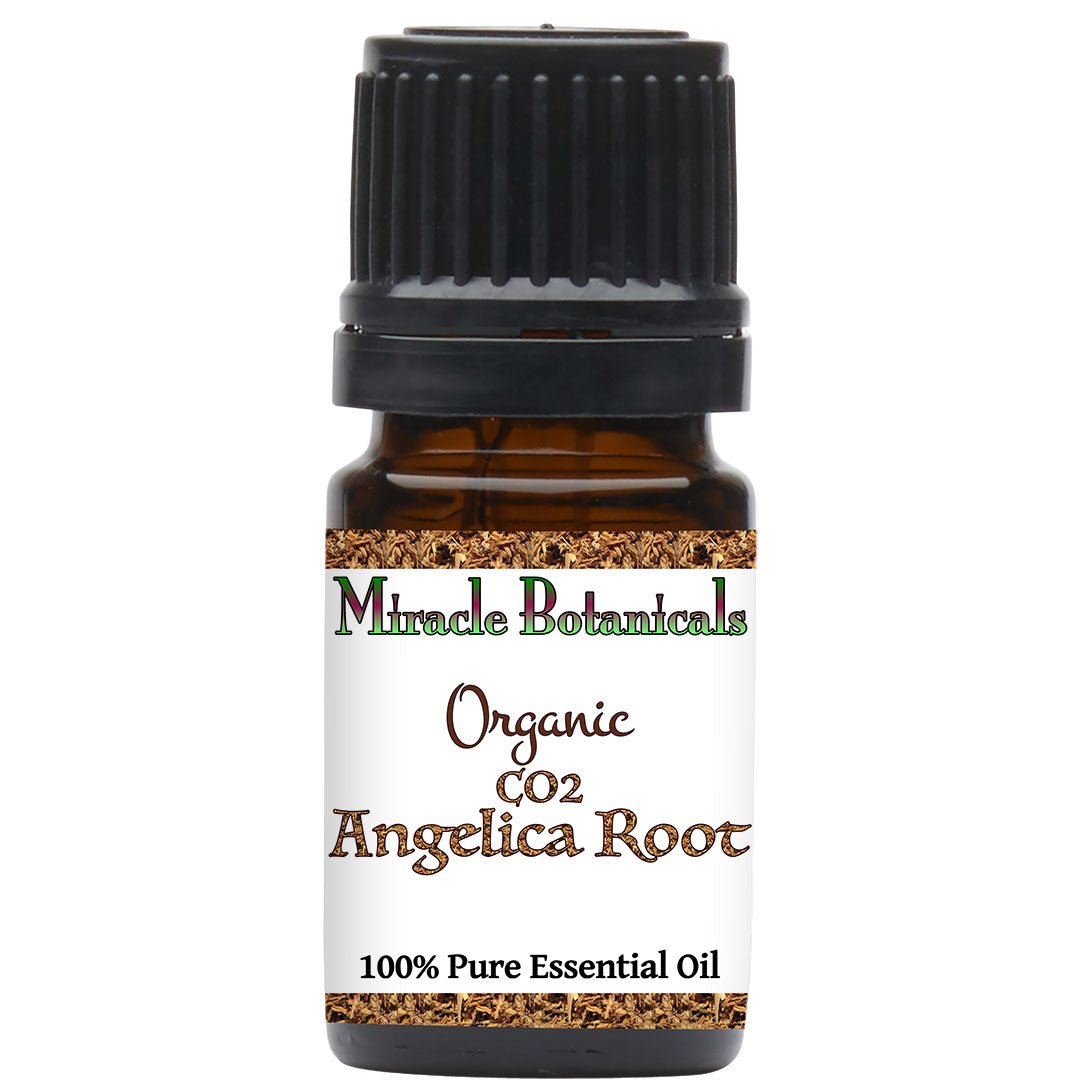 Organic Angelica Root Essential Oil - CO2 Extracted (Angelica Archangelica) for Aromatherapy, Massage & Natural Healing