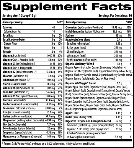 Vita Greens & Fruit Superfood Powder - Organic Apple Flavor for Smoothies, Juices & Healthy Drinks | Boost Energy & Immunity | Vegan, Gluten-Free Supplement