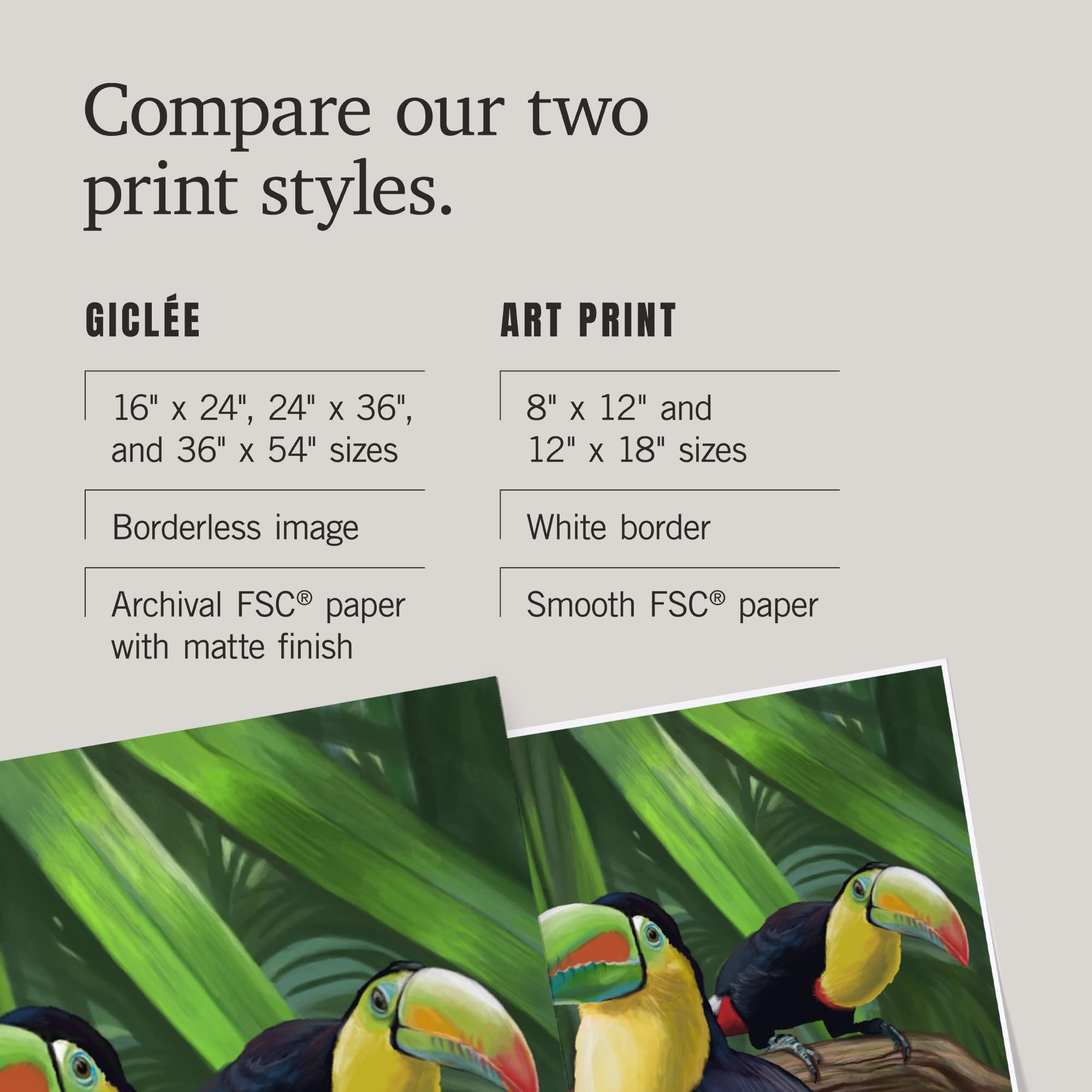 Lantern Press 16x24 Inch Giclee Print - Vibrant Toucan Bird Wall Art for Home & Office Decor | Perfect for Living Room, Bedroom or Tropical Themed Spaces