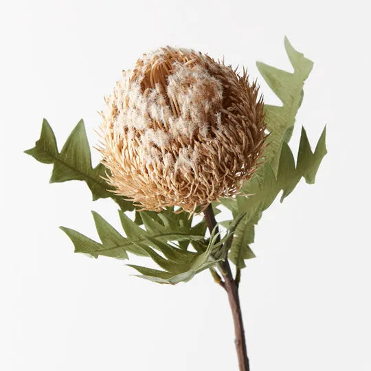 Banksia Acorn Candle Holder - Cream Colored Rustic Home Decor for Farmhouse, Boho & Coastal Interiors - Perfect for Table Centerpieces, Wedding Decor & Gift Ideas