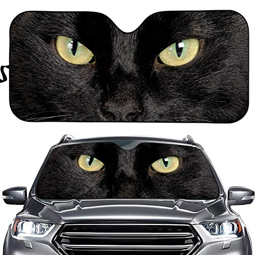 Black Cat