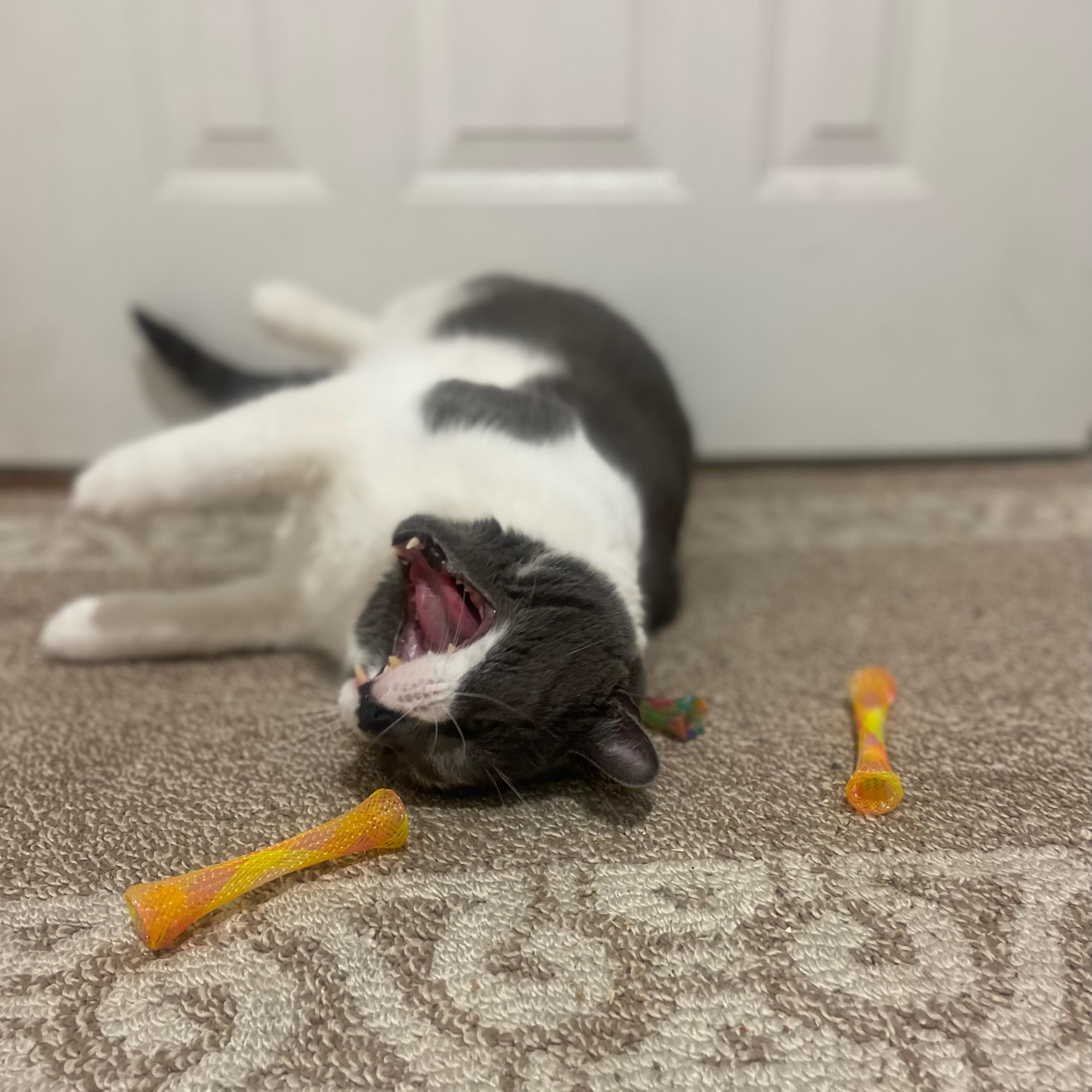 SPOT Kitty Fun Tubes Cat Toy - 3 Pack Interactive Cat Toys with Catnip for Biting, Swatting & Chasing | Bouncy Kitten Toys for Indoor Play & Exercise | Perfect for Playtime, Training & Bonding with Your Cat