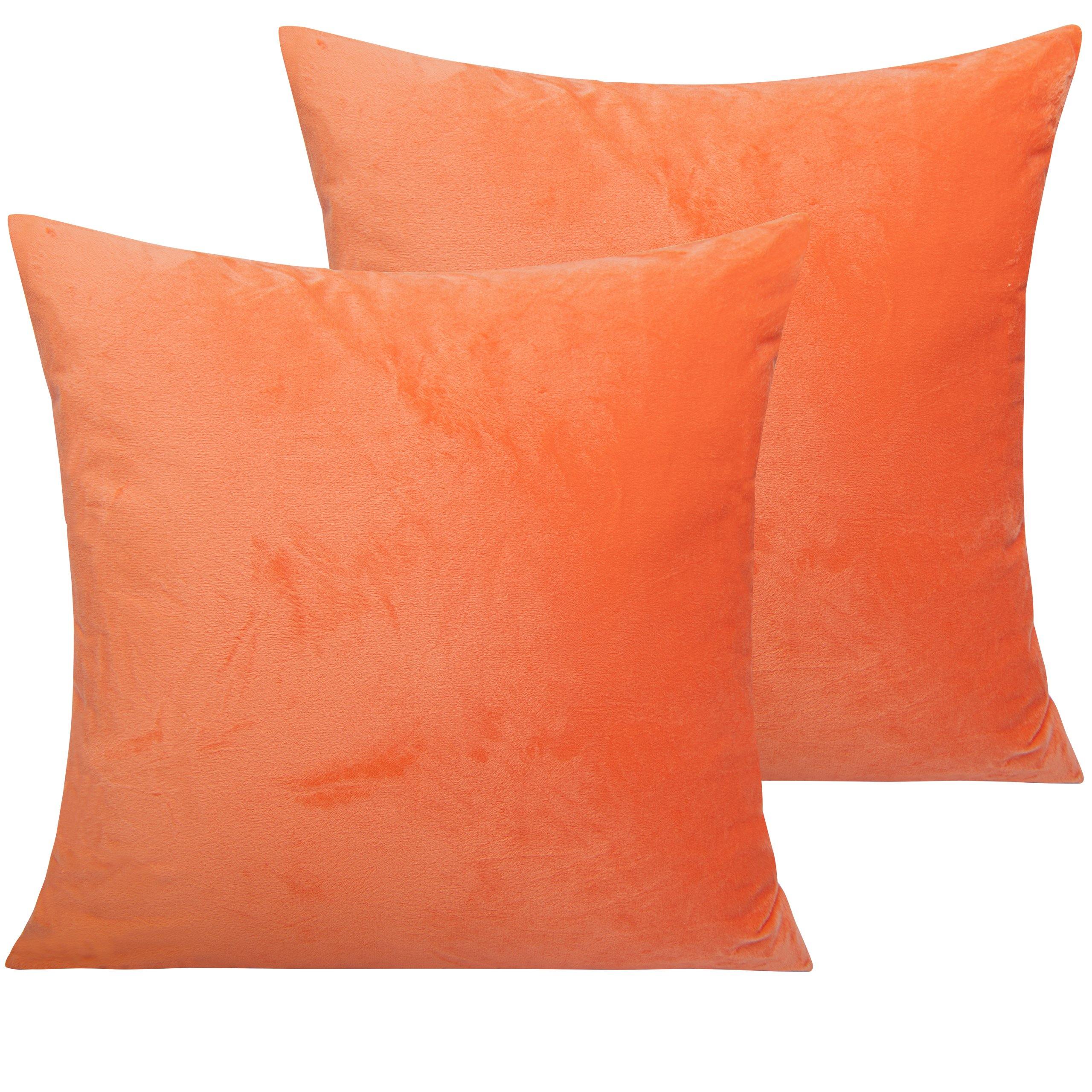 NTBAY 2 Pack Soft Velvet Throw Pillow Covers - 18x18 Inch Luxury Cushion Cases for Sofa, Bed, Couch Decor - Home & Living Room Accessories