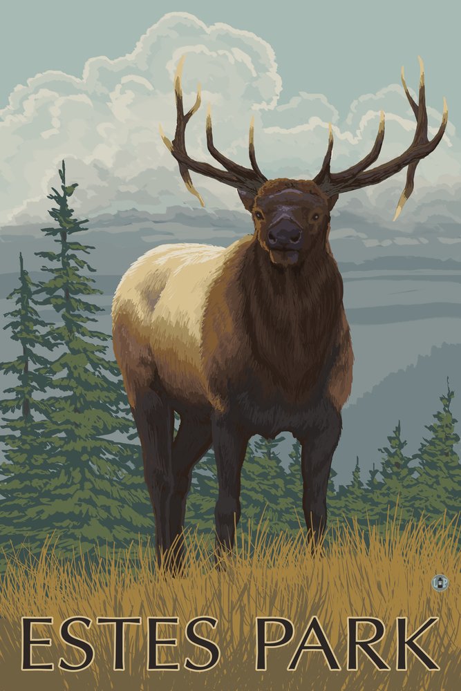 16x24 Gallery Quality Elk Scene Metal Art - Colorado Estes Park Wall Decor - Aluminum Print for Home, Office & Cabin Decor