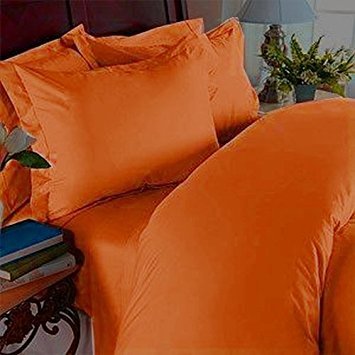 Elite Orange