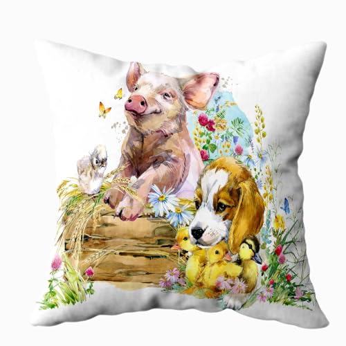 Pig and Dog