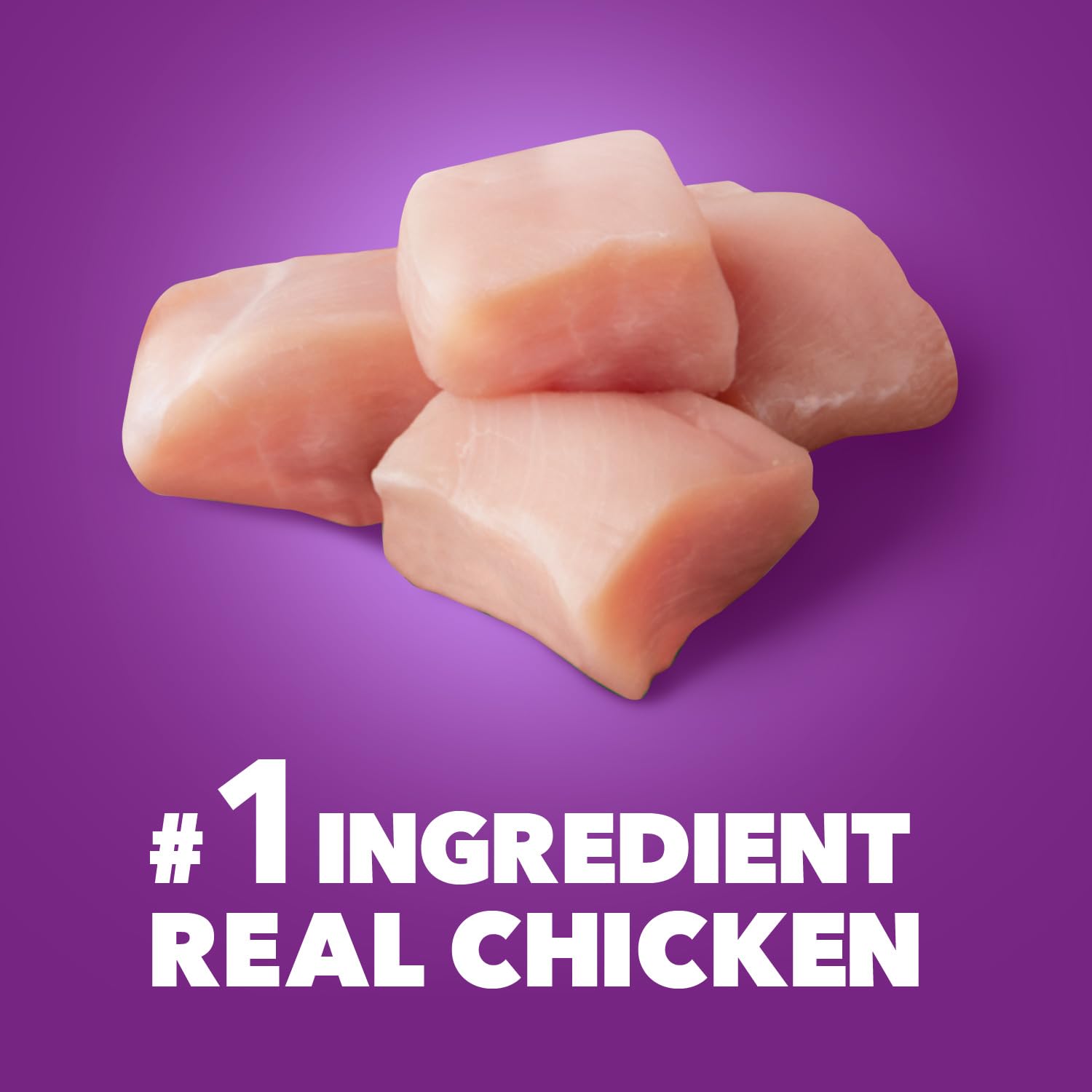Iams Advanced Health Adult Healthy Digestion Dry Dog Food with Real Chicken - 6 lb Bag | Premium Nutrition for Sensitive Stomachs & Digestive Support | Perfect for Adult Dogs at Home or Travel