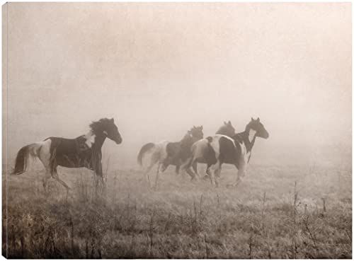 Paint Horses on the Run
