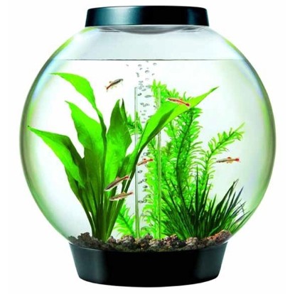 8 Gallon Fish Tank - Compact Aquarium for Small Fish & Betta - Perfect for Home, Office & Dorm Room Decor