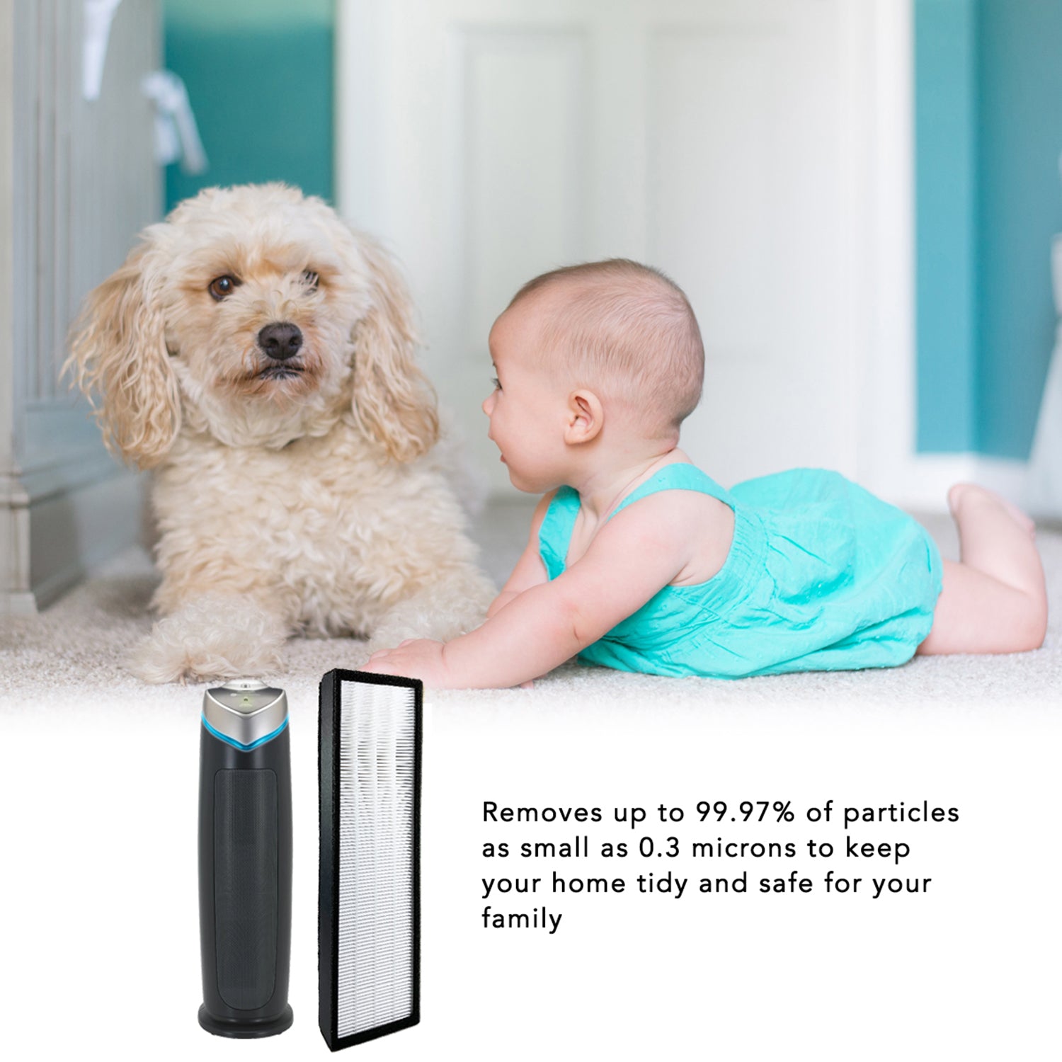 Germ Guardian AC4300BPTCA & AC4900CA Replacement HEPA Filter with Pre-Filter - Compatible Air Purifier Filters for Allergies, Dust, Pet Dander | Perfect for Bedrooms, Living Rooms, and Offices