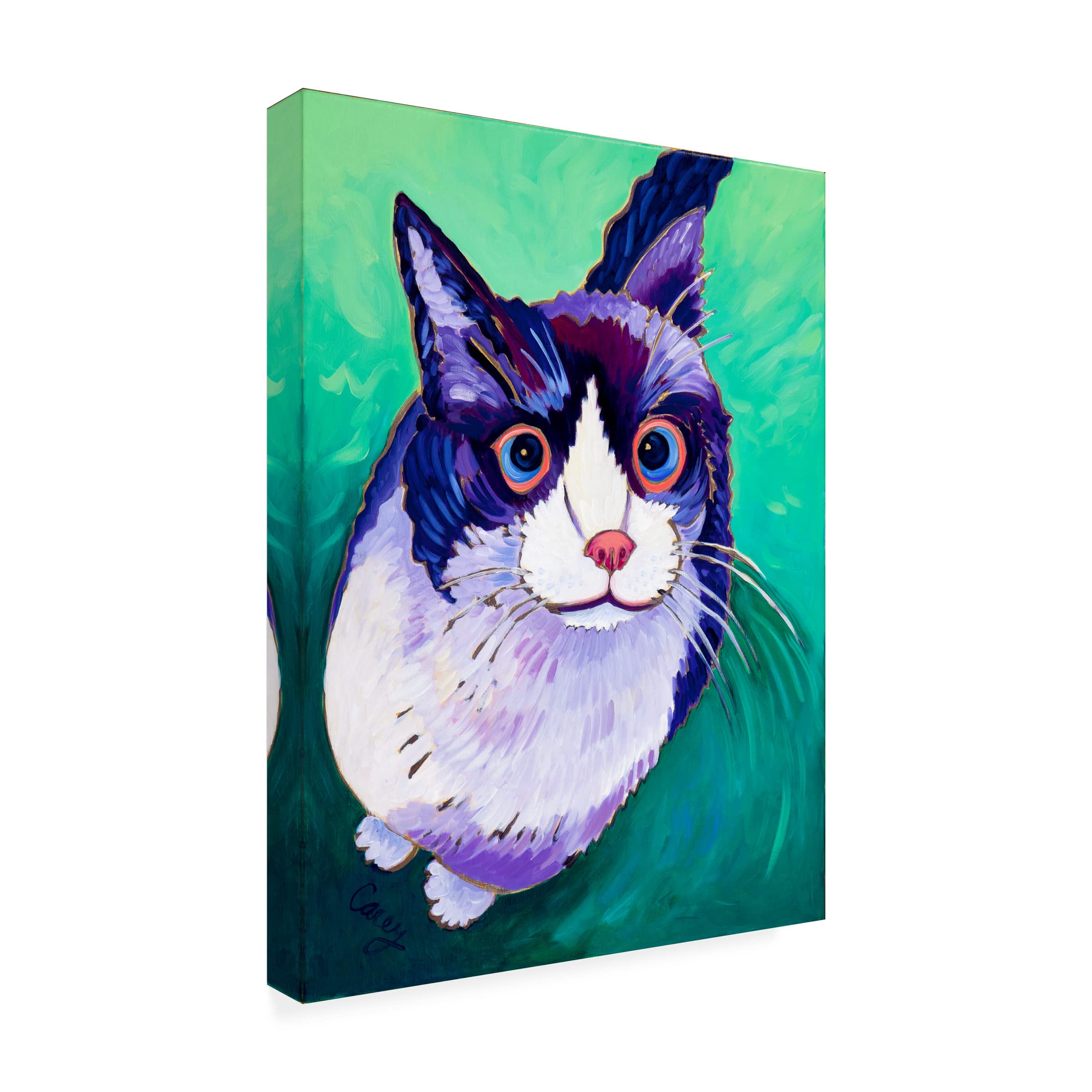 Trademark Fine Art 'Madison' Canvas Wall Art by Cathy Carey - Perfect for Living Room, Bedroom & Office Decor