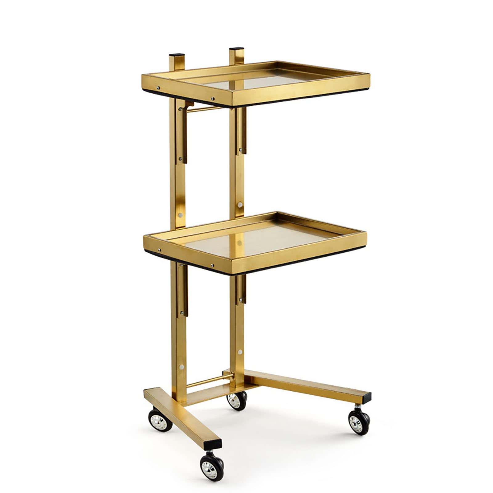Stainless Steel 2-Tier Rolling Cart with Wheels - Mobile Kitchen Storage Trolley, Salon Utility Cart for Bedroom, Tattoo Shop & Home Organization - Perfect for Salon Equipment, Kitchen Supplies & Office Storage
