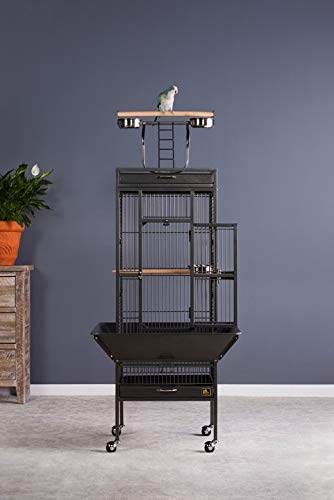 Prevue Pet Products Wrought Iron Select Bird Cage - Black Hammertone 3151BLK | Durable & Spacious Home for Parakeets, Cockatiels & Small Birds | Perfect for Living Rooms, Bedrooms & Outdoor Use