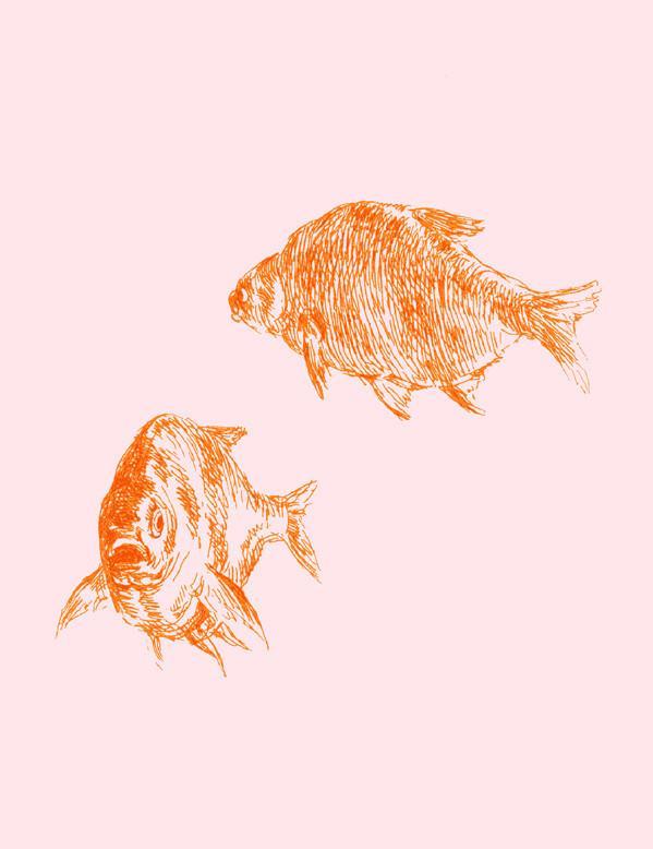 Nathan Turner Pink 'Goldfish' Wallpaper - Elegant Floral Peel and Stick Wallpaper for Bedroom, Living Room, and Nursery Decor