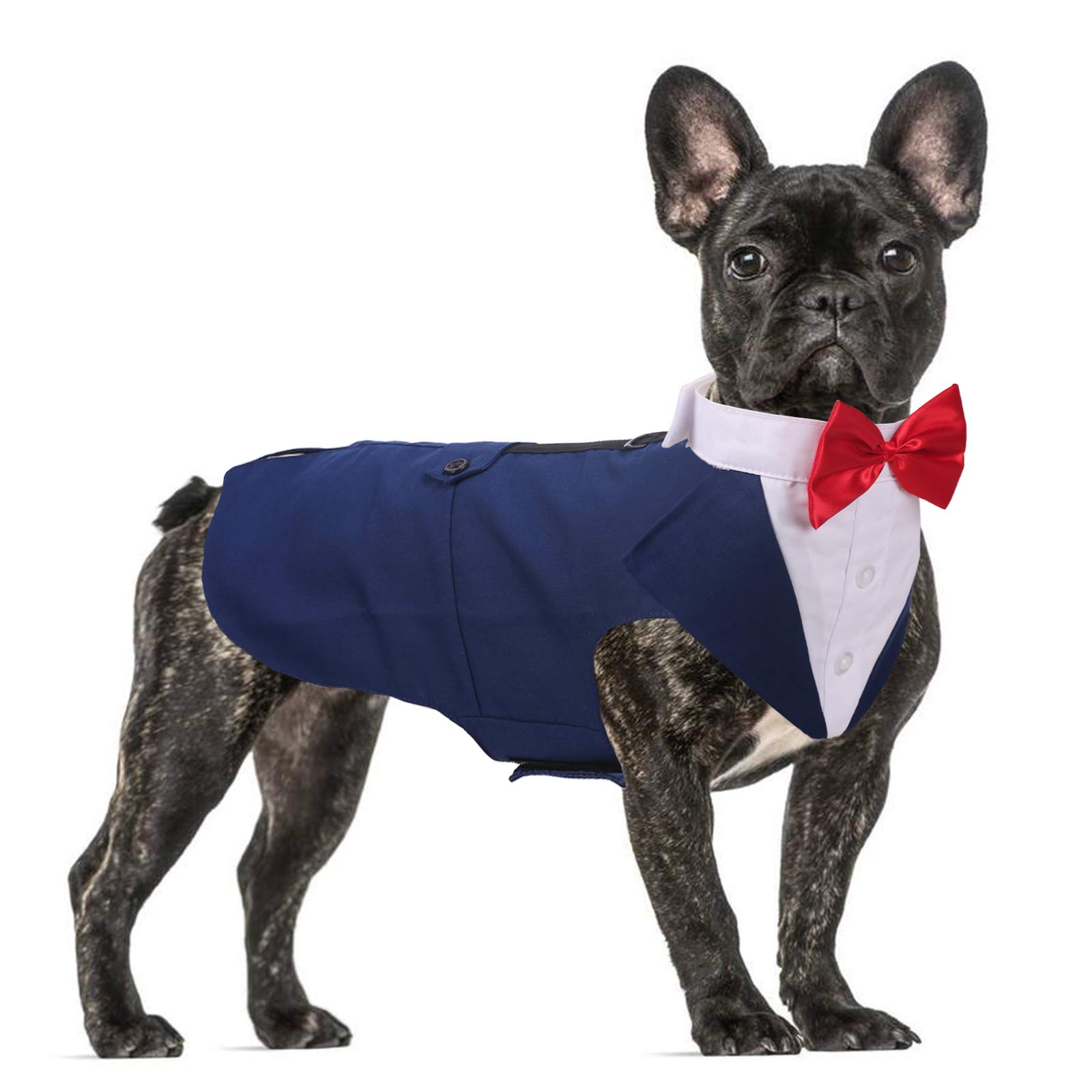 QBLEEV Dog Tuxedo for Large Dogs - Formal Dog Suit with Bow Tie & Bandana Set | Wedding, Halloween, Christmas & Birthday Party Costume | Blue | Perfect for Special Occasions & Cosplay Events