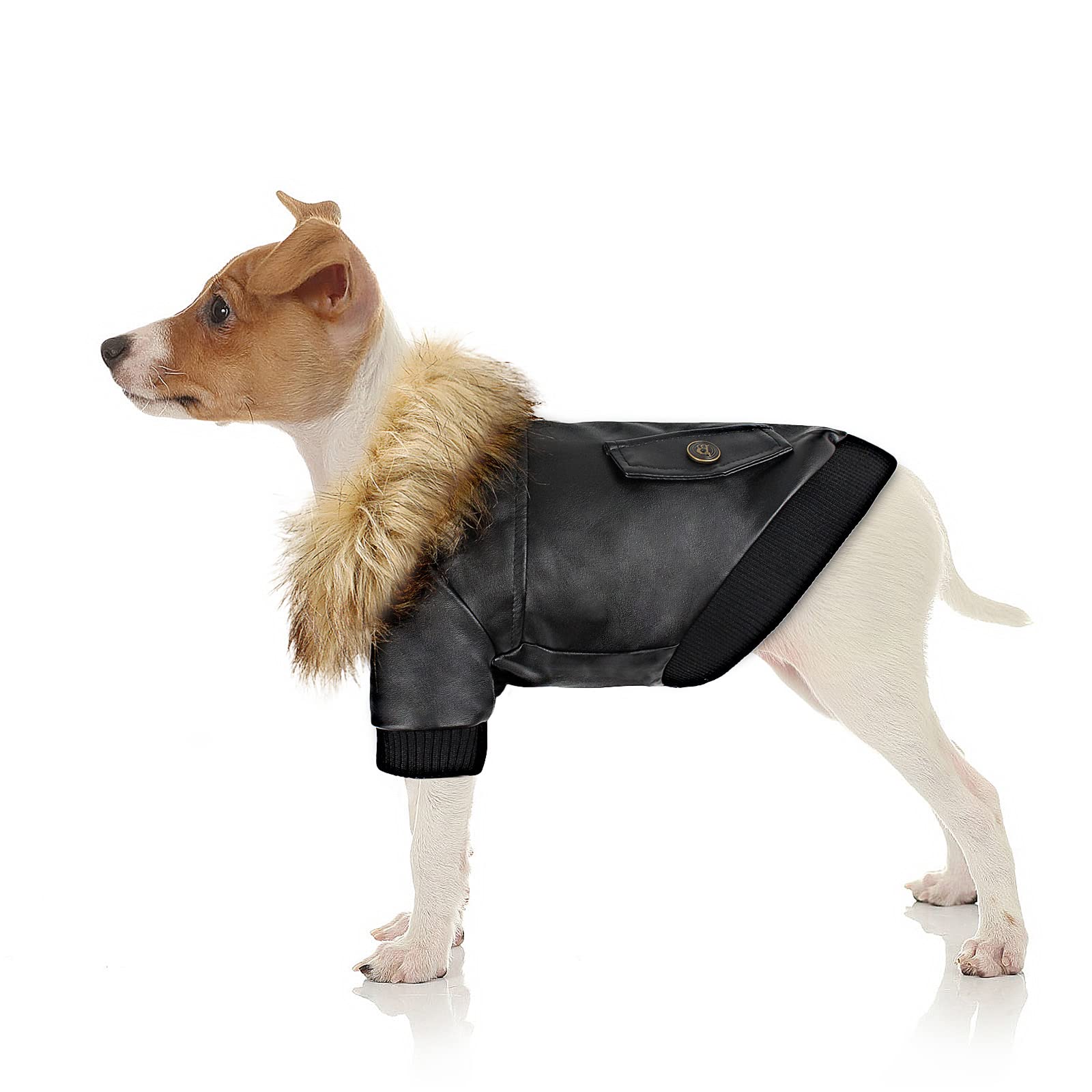 NAMSAN Small Dog Coat - Winter Pet Sweater for Small & Medium Dogs - Windproof Puppy Jacket for Boys & Girls - Warm Doggy Parka & Snowsuit - Perfect for Cold Weather Walks, Outdoor Adventures & Winter Playtime