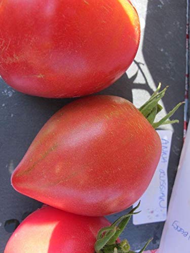 25 Pink Heart-Shaped Fruit Seeds - Delicious Superb Flavor for Home Garden, Valentine's Gift & Romantic Decor