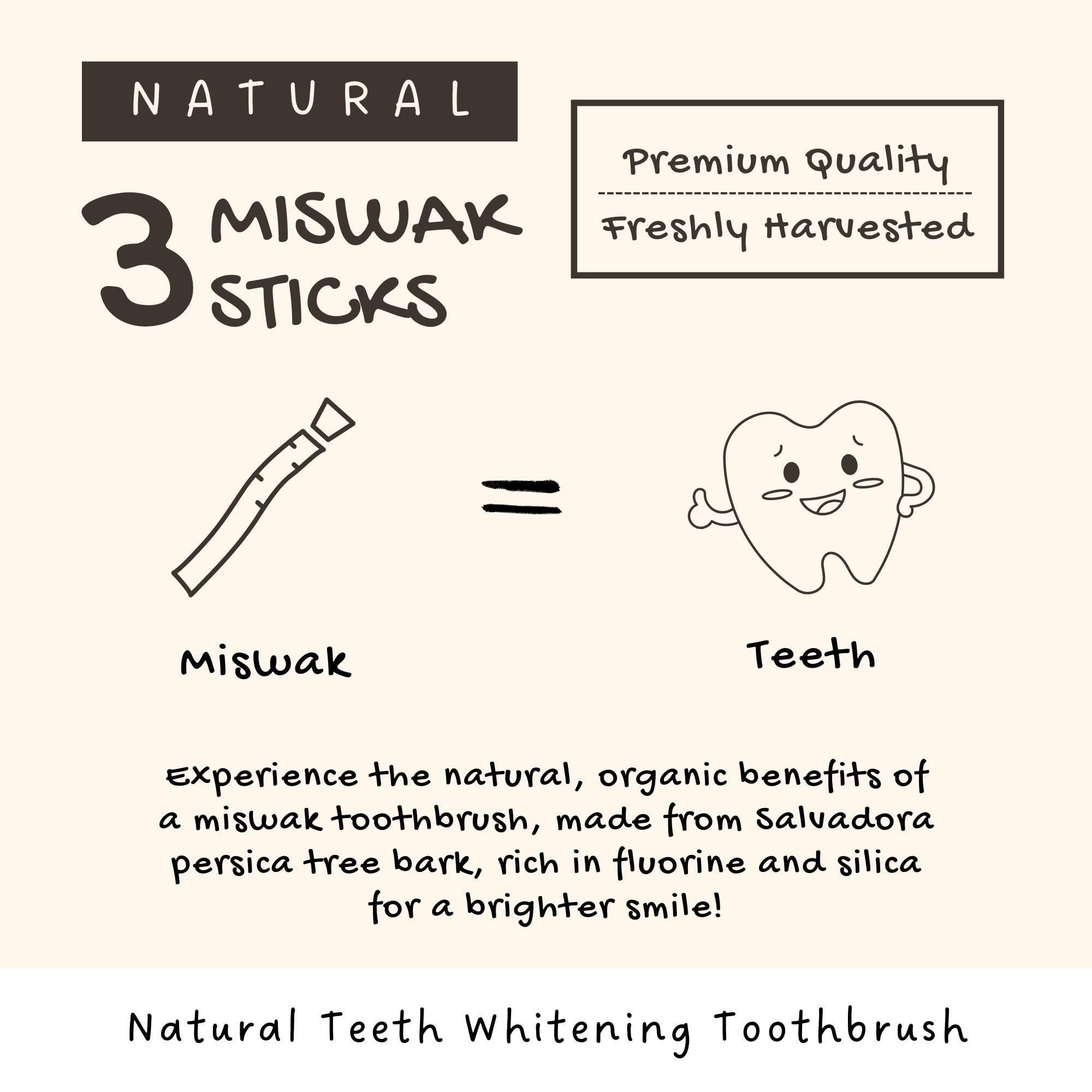 Natural Miswak Sticks for Teeth Cleaning - Organic Toothbrush Alternative, No Toothpaste Needed | Siwak Chew Sticks (Meswak) for Fresh Breath & Oral Hygiene | Perfect for Travel, Camping & Eco-Friendly Dental Care