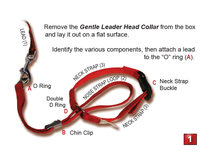 Gentle Leader Headcollar - No-Pull Dog Training Collar for Large & Small Dogs | Perfect for Walking, Training & Behavioral Control