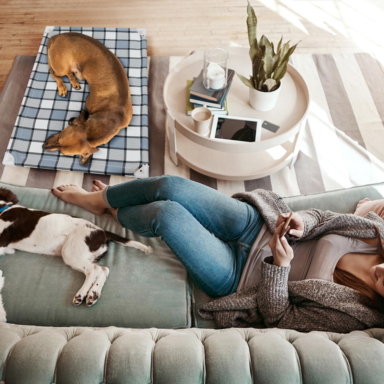 **Elevated Dog Bed - Raised Cooling Pet Cot for Medium Dogs, Breathable Mesh & Durable Frame - Perfect for Outdoor, Indoor, Camping & Patio Use**