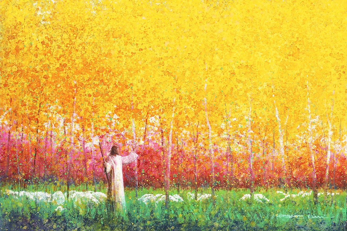 In His Light Gallery Wrap Canvas - Inspirational Christian Wall Art for Home, Church & Office Decor - Perfect for Living Room, Bedroom & Prayer Space