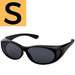 Small Black Frame With Smoke Lens