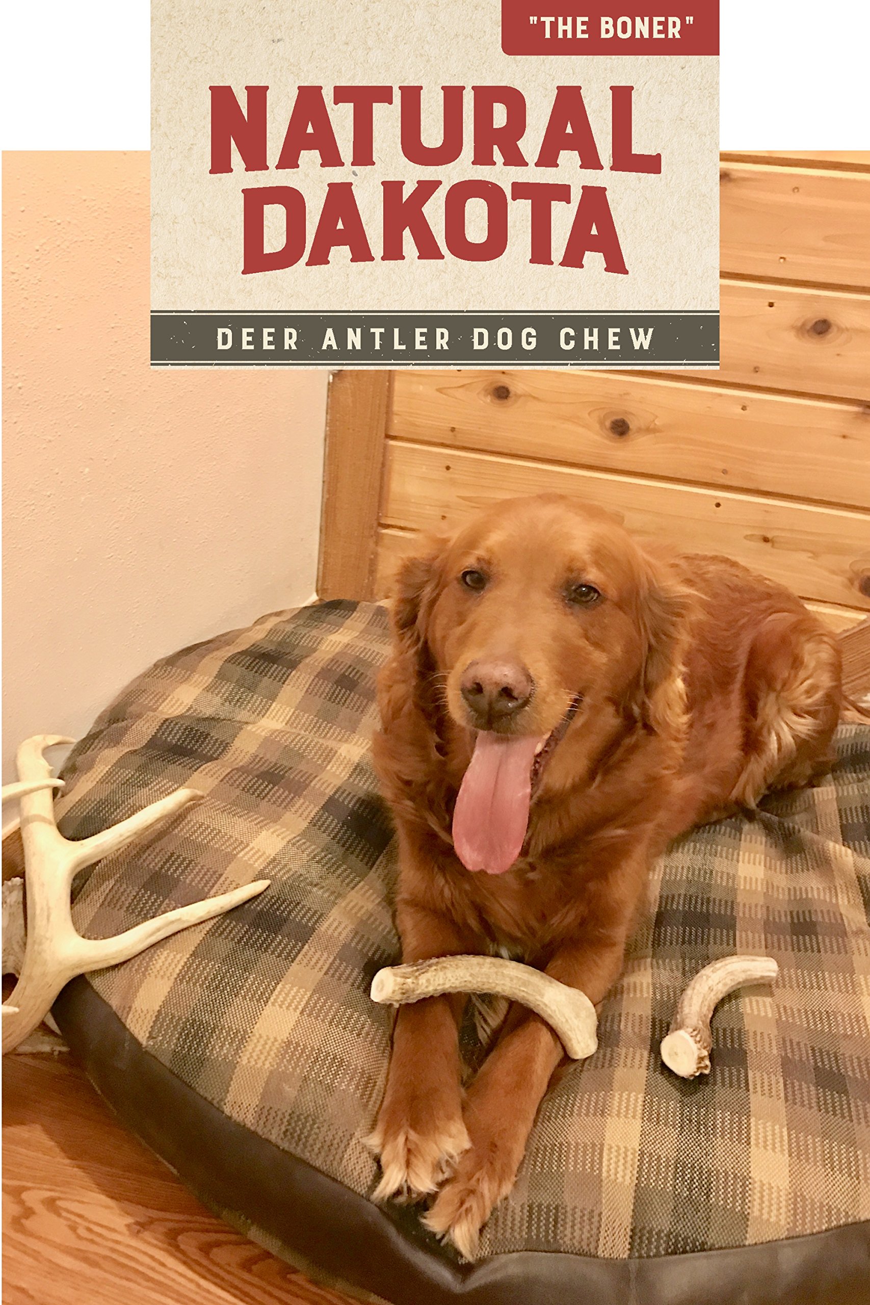 Premium Natural Dakota Deer Antler Chew Toys for Dogs - Large Size, Long-Lasting Dog Bone for Aggressive Chewers - Perfect for Teething Puppies & Dental Health