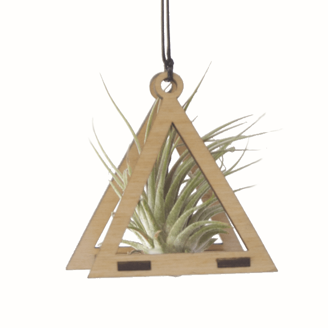 Mini Triangle Maple Air Plant Hanger - Handmade Wooden Holder for Tillandsia, Succulents & Home Decor - Perfect for Living Room, Bedroom, Office & Boho Style Decorations