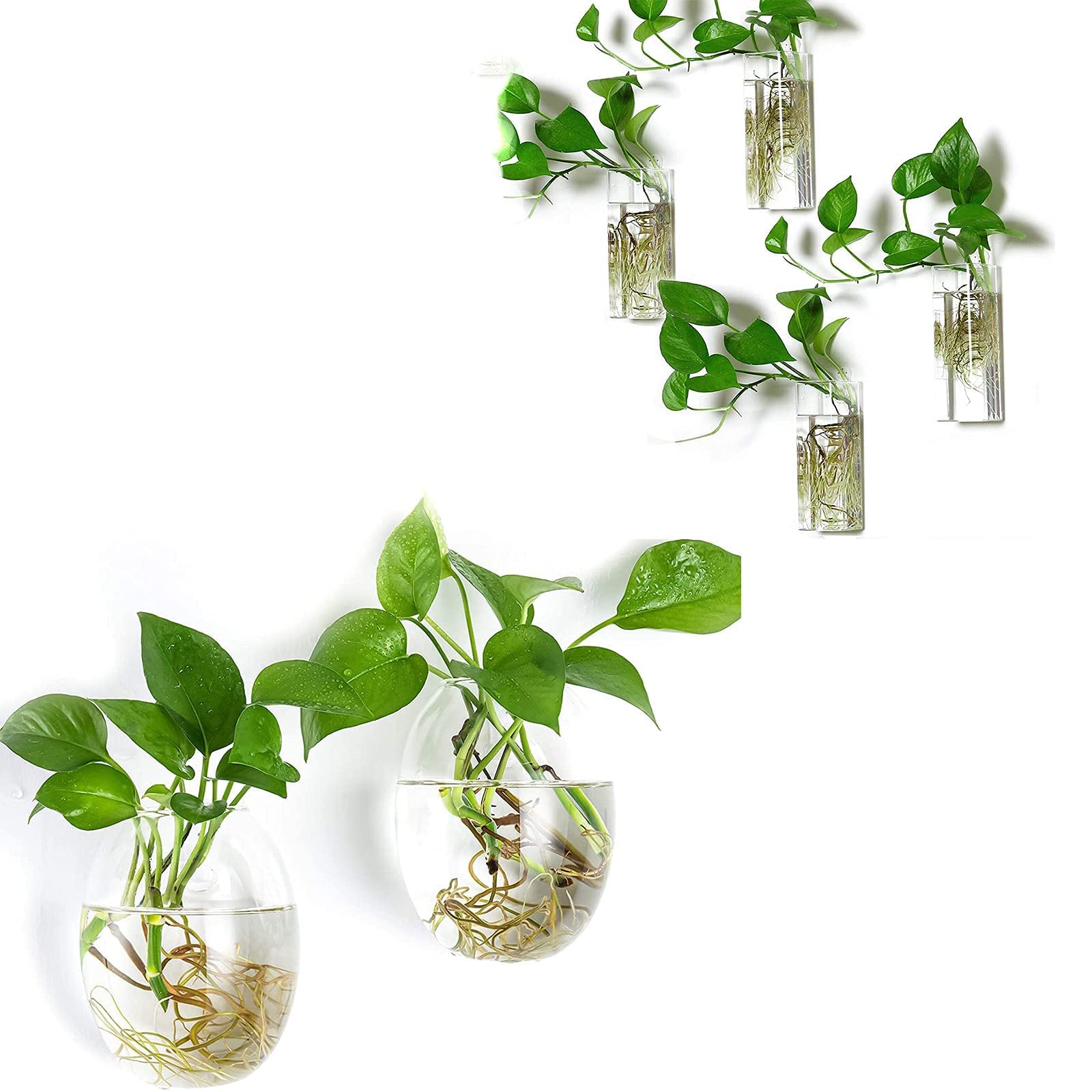 Kingbuy Wall Mount Glass Planter - 2 Egg Shape Terrariums & 4 Square Vases for Hydroponic Plants, Succulents, Air Plants | Home Office Garden Decor, Indoor Plant Propagation Station, Modern Wall Hanging Display for Living Room, Kitchen, Balcony