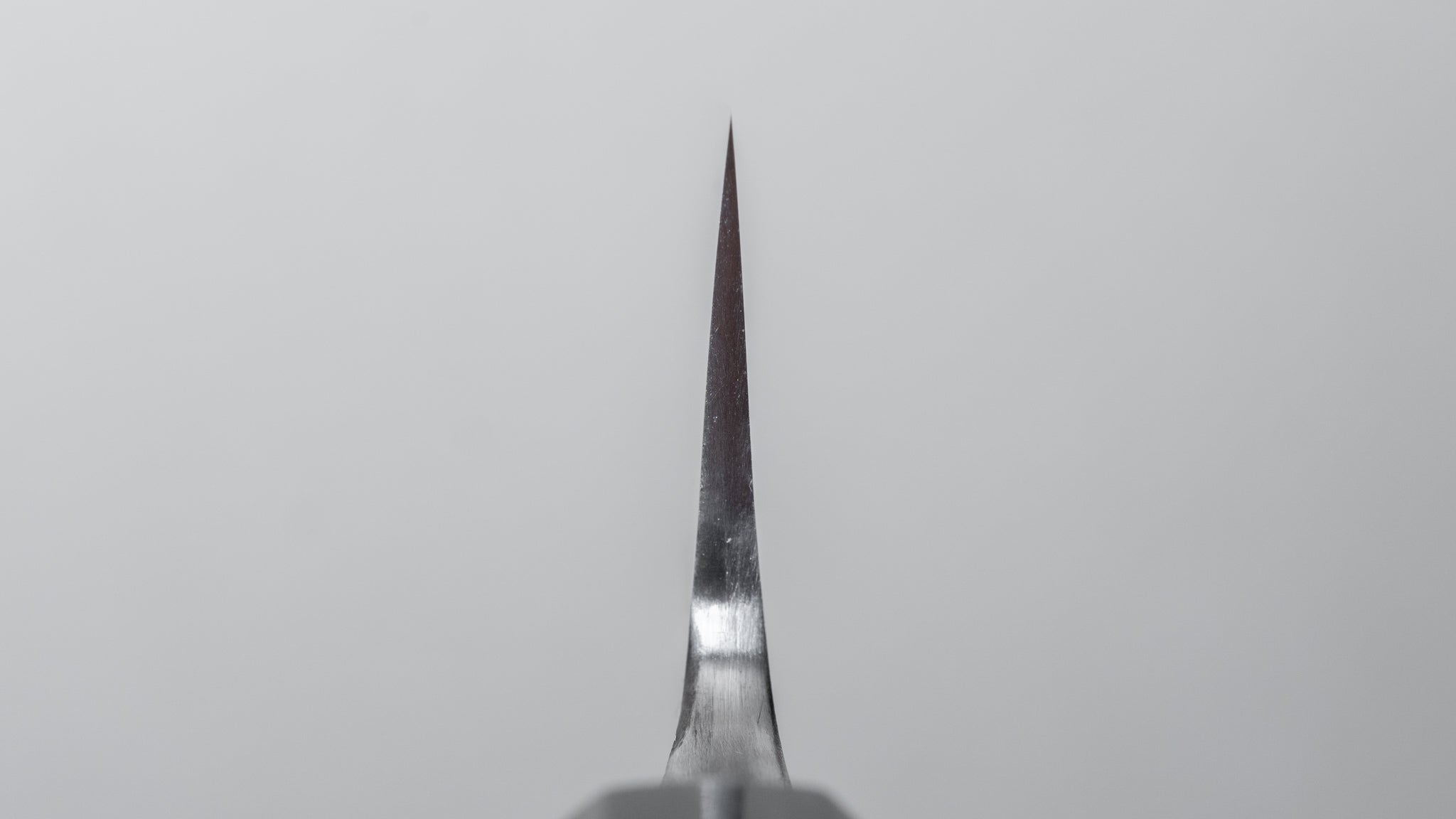 Premium Jiro Tsuchime Wa Sujihiki 210mm Japanese Slicing Knife - Taihei Tagayasan Handle (#513) - Perfect for Sushi, Sashimi & Meat Carving