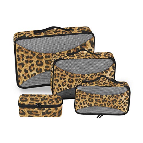 Leopard Animal