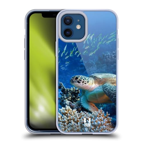 Sea Turtle Sitting On Coral Reef