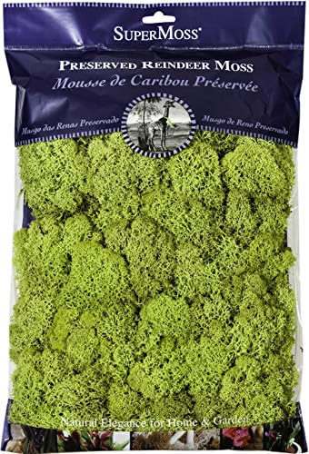Chartreuse