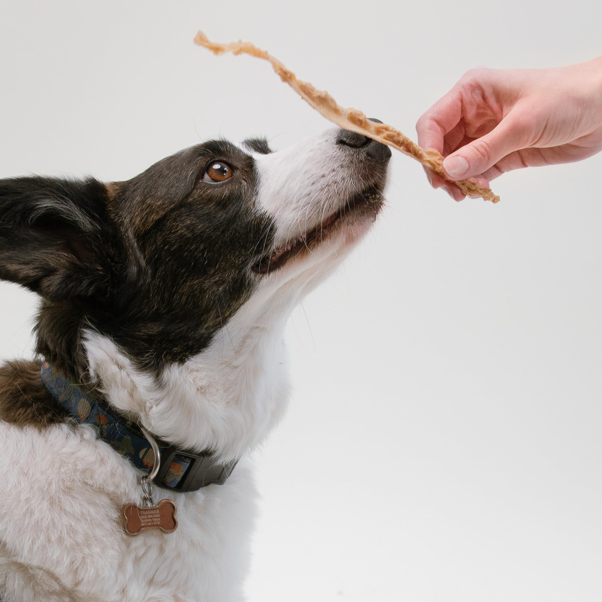 Premium Pupford Turkey Tendon Dog Treats - High-Protein, Grain-Free Dental Chews for Healthy Teeth & Joints - Made in USA - 100% Natural Turkey Chews - Perfect for Training, Rewards & Anxiety Relief - Great for Small, Medium & Large Dogs - Pack of 10 (Ideal for Crate Training, Teething Puppies & Senior Dogs)