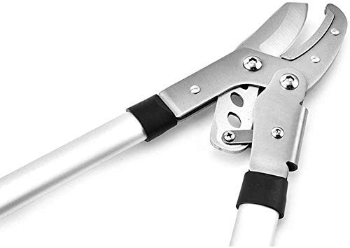 Extendable Garden Shears & Pruner Set - Lightweight Anvil Lopper with 30-40mm Cutting Capacity | Labor-Saving Hand Pruning Shears for Tree Trimming, Hedge Cutting & Gardening | Perfect for Home Gardeners & Landscaping Professionals