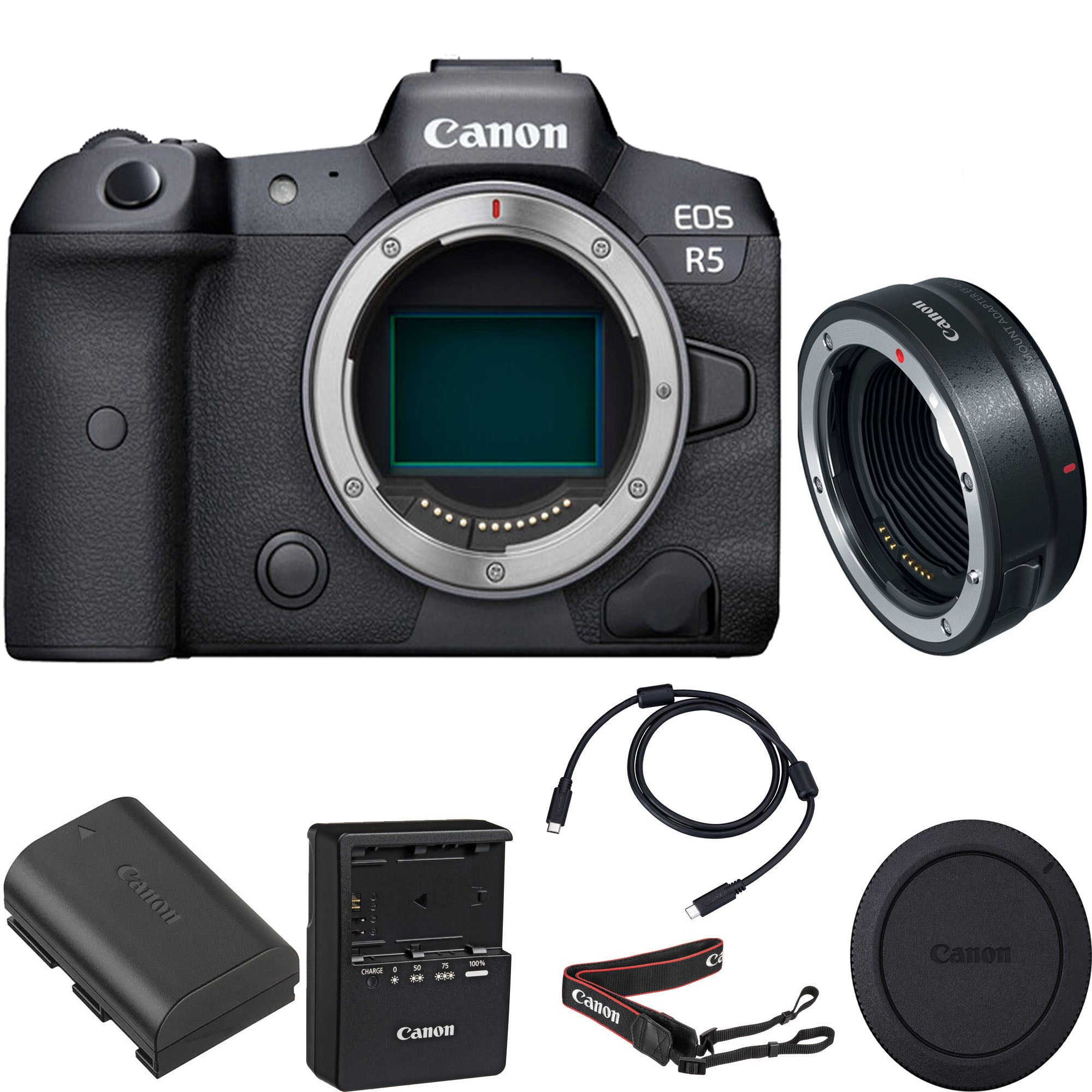 Canon EOS R5 Full Frame Mirrorless Digital Camera Body with EF-EOS R Mount Adapter - Professional 8K Video & 45MP Still Photography for Travel, Wedding & Sports Shooting