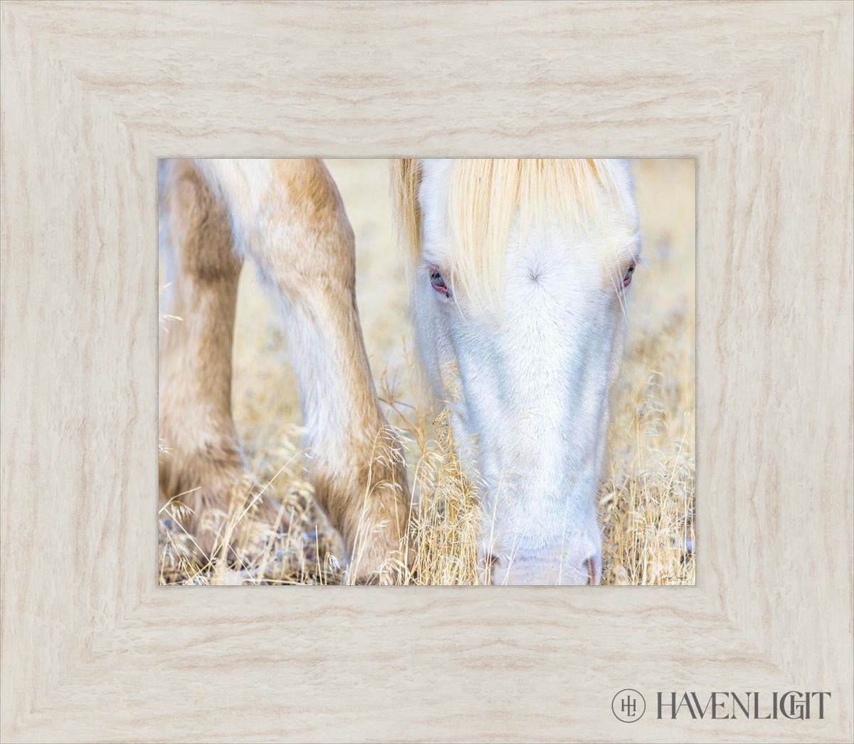 Dry Grass by Greg Sargent - Premium Handcrafted Home Decor for Rustic & Farmhouse Style - Perfect for Wall Art, Shelf Displays & Cozy Living Room Decor