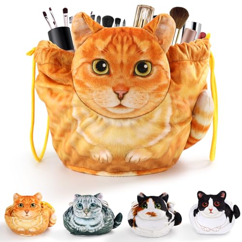 Orange Tabby Cat