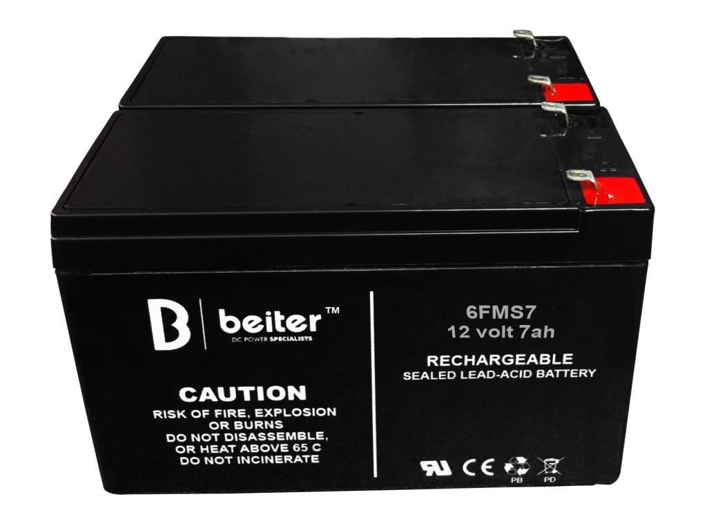 Bladez Elite 250 Replacement Batteries - Compatible with Bladez Scooters - Long-Lasting Power for Commuting & Outdoor Fun
