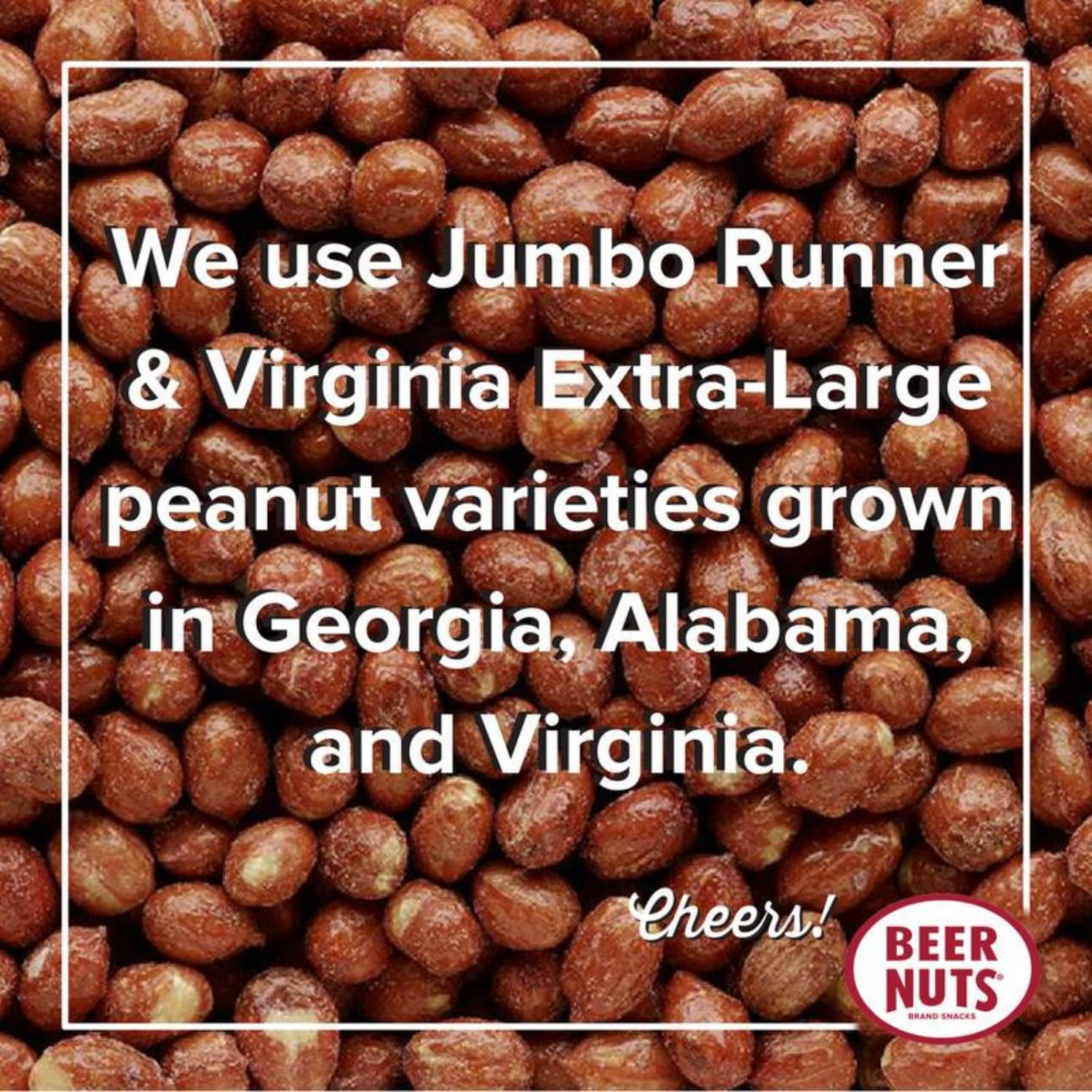 BEER NUTS Original Peanuts - Sweet & Salty Gluten Free Snacks - Kosher Certified, Low Sodium USA Made Peanuts - 12oz Resealable Can (Pack of 12) - Perfect for Parties, Road Trips & Office Snacking