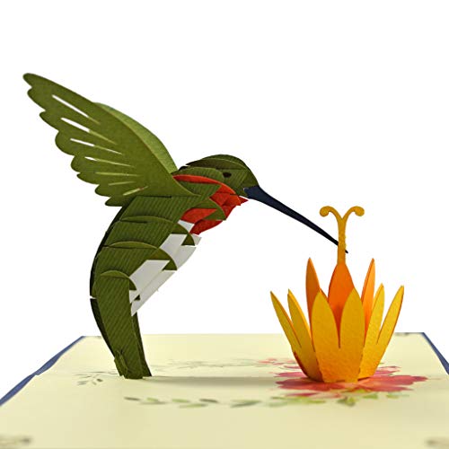 Colibrì