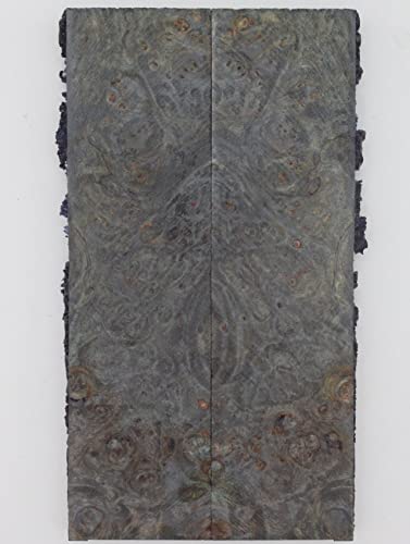 Tamarind - 6097