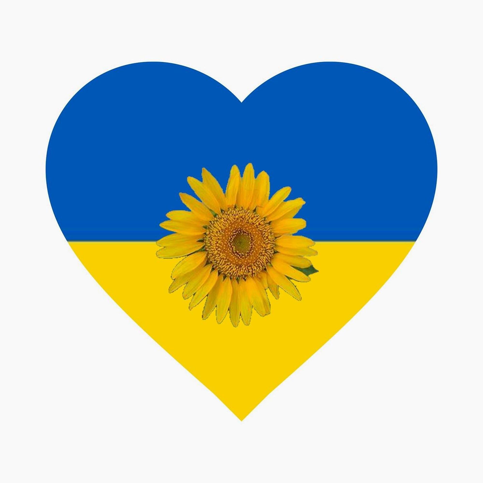 Ukrainian Sunflower Greeting Cards - 20 Pack Blank Note Cards with Glossy Finish | Birthday, Thank You & Sympathy Cards for All Occasions | Perfect for Handwritten Messages & Gift Giving