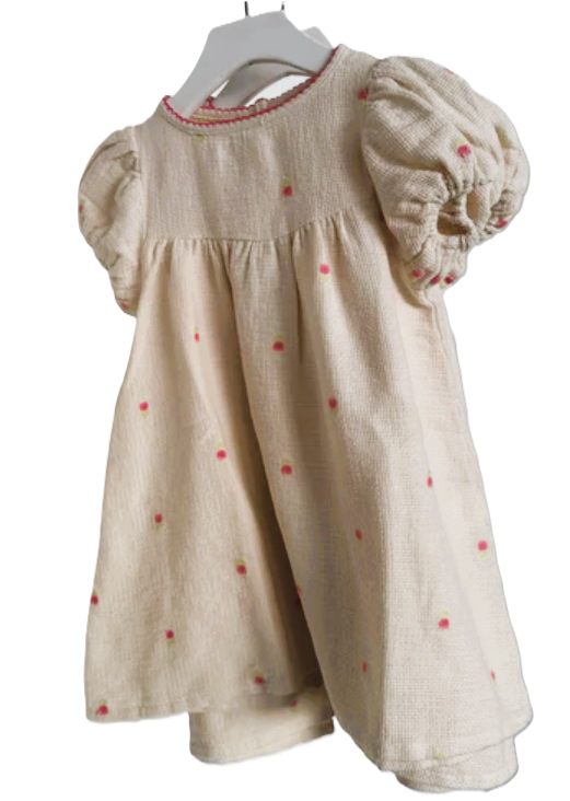 BEBE ORGANIC DELILAH SIGNATURE DRESS for Girls 2-5 Years | Organic Cotton Floral Print Dress | Perfect for Birthday Parties, Family Photos & Special Occasions