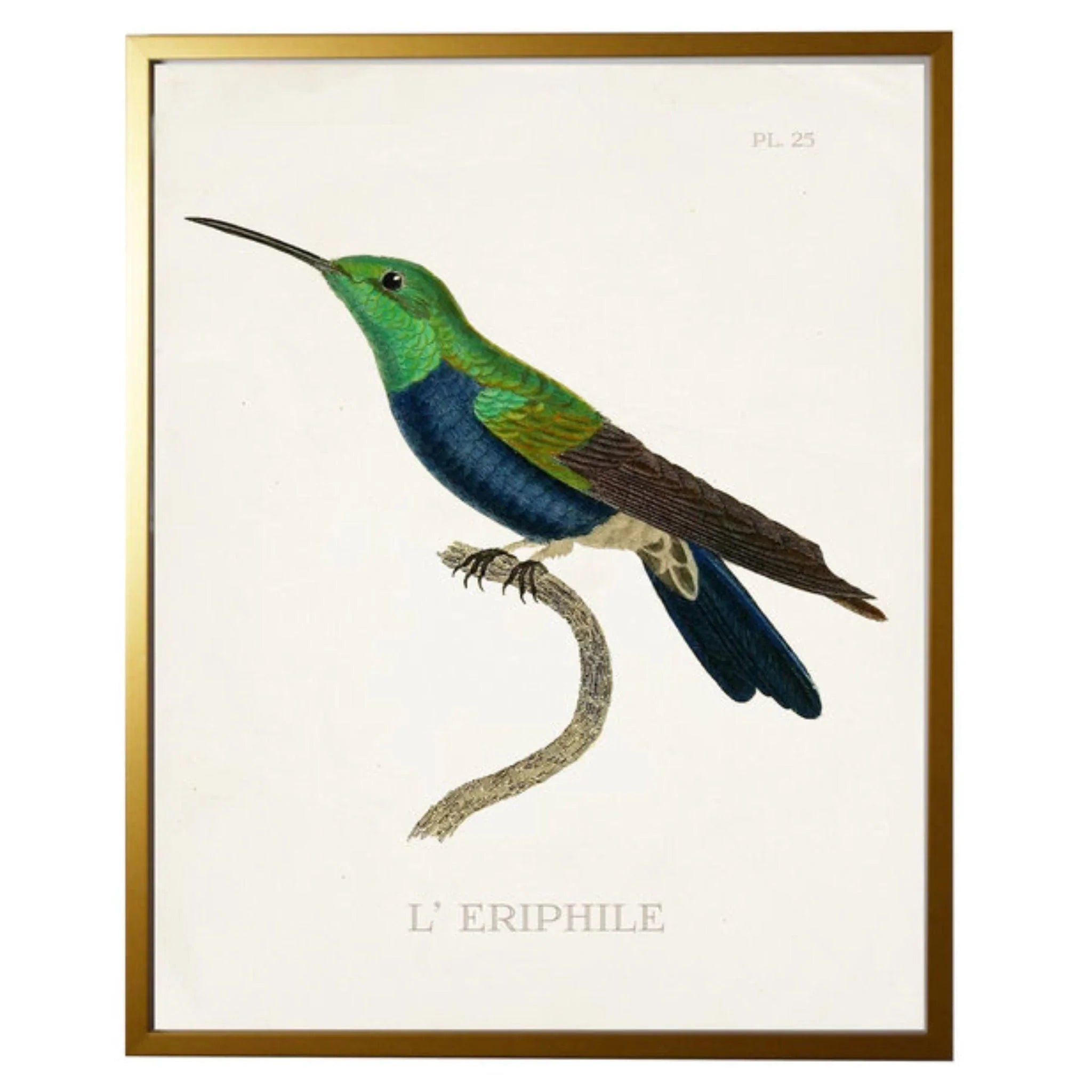 Blue Hummingbird Figurine - Handcrafted Decorative Bird Statue for Home & Garden Decor | Perfect for Bookshelf, Office Desk, and Gift Giving