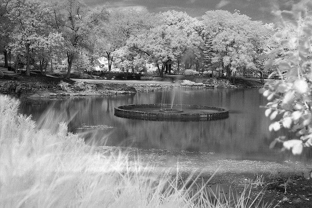 FPP BW IR 35mm Infrared Film for Film Photography - 1 Roll - Perfect for Vintage & Artistic Photography