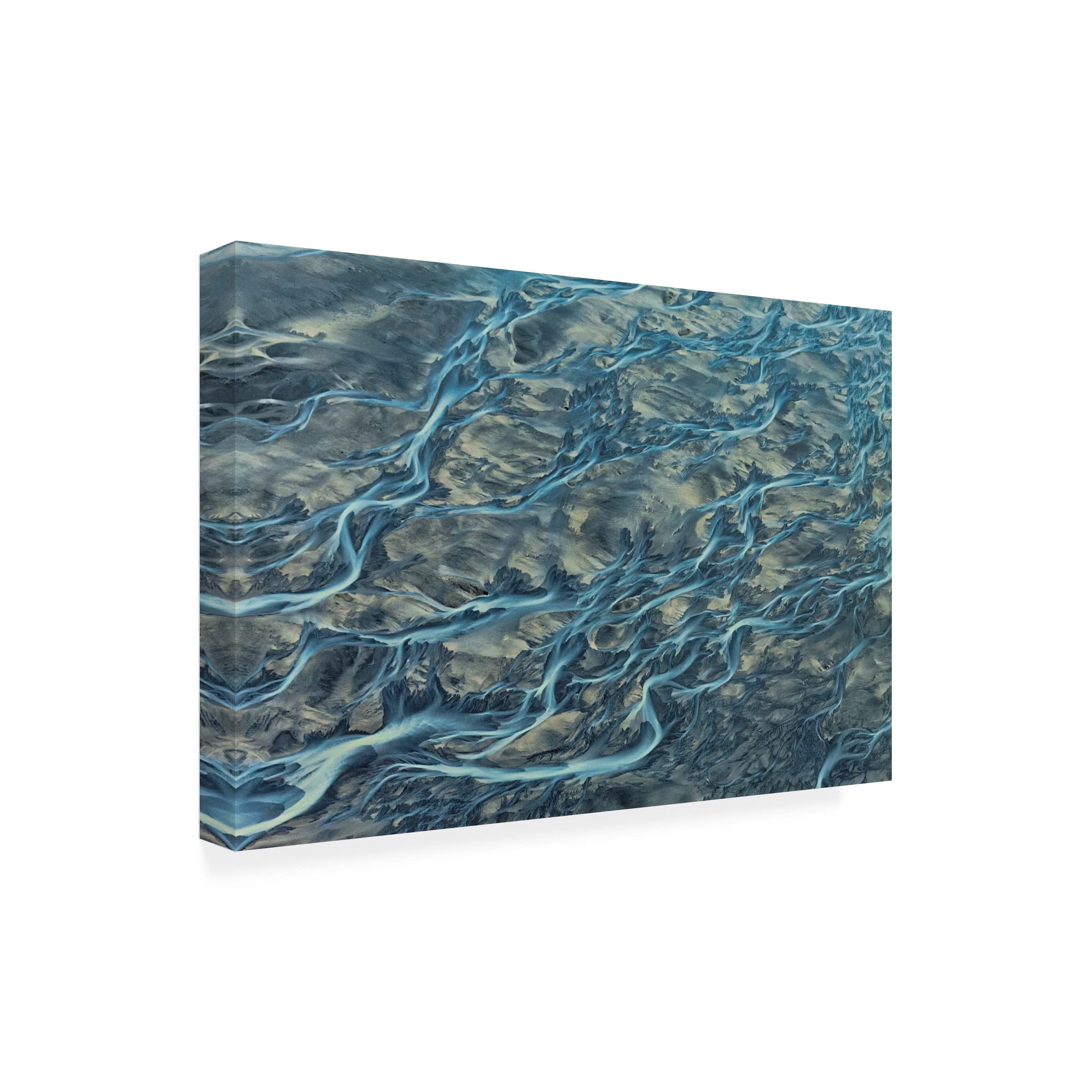 Peter Svoboda 'Veins of The Earth 3' Canvas Wall Art Print - Modern Abstract Landscape Painting for Living Room & Office Decor - High Quality Gallery Wrapped Ready to Hang
